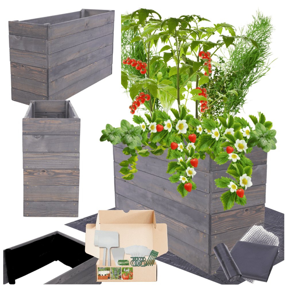 Strat inaltat de gradina - LOTUS H54 - lemn de pin - Rael Garden