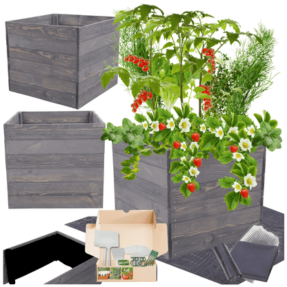 Strat inaltat de gradina - LOTUS H54 - lemn de pin - Rael Garden