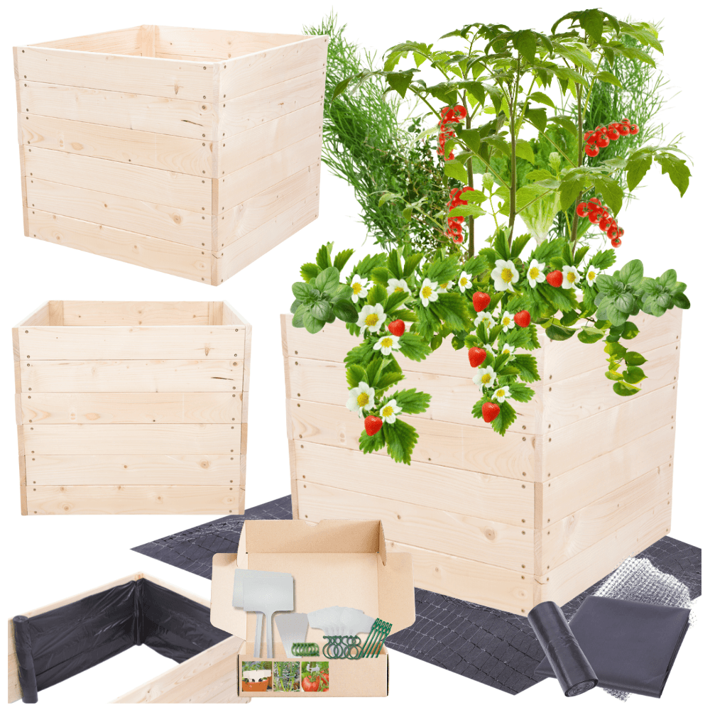 Strat inaltat de gradina - LOTUS H54 - lemn de pin - Rael Garden