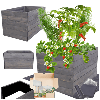 Strat inaltat de gradina - LOTUS H54 - lemn de pin - Rael Garden