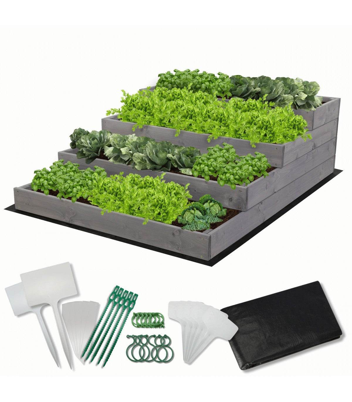 Strat inaltat de gradina - DAHLIA H36 - lemn de pin - Rael Garden