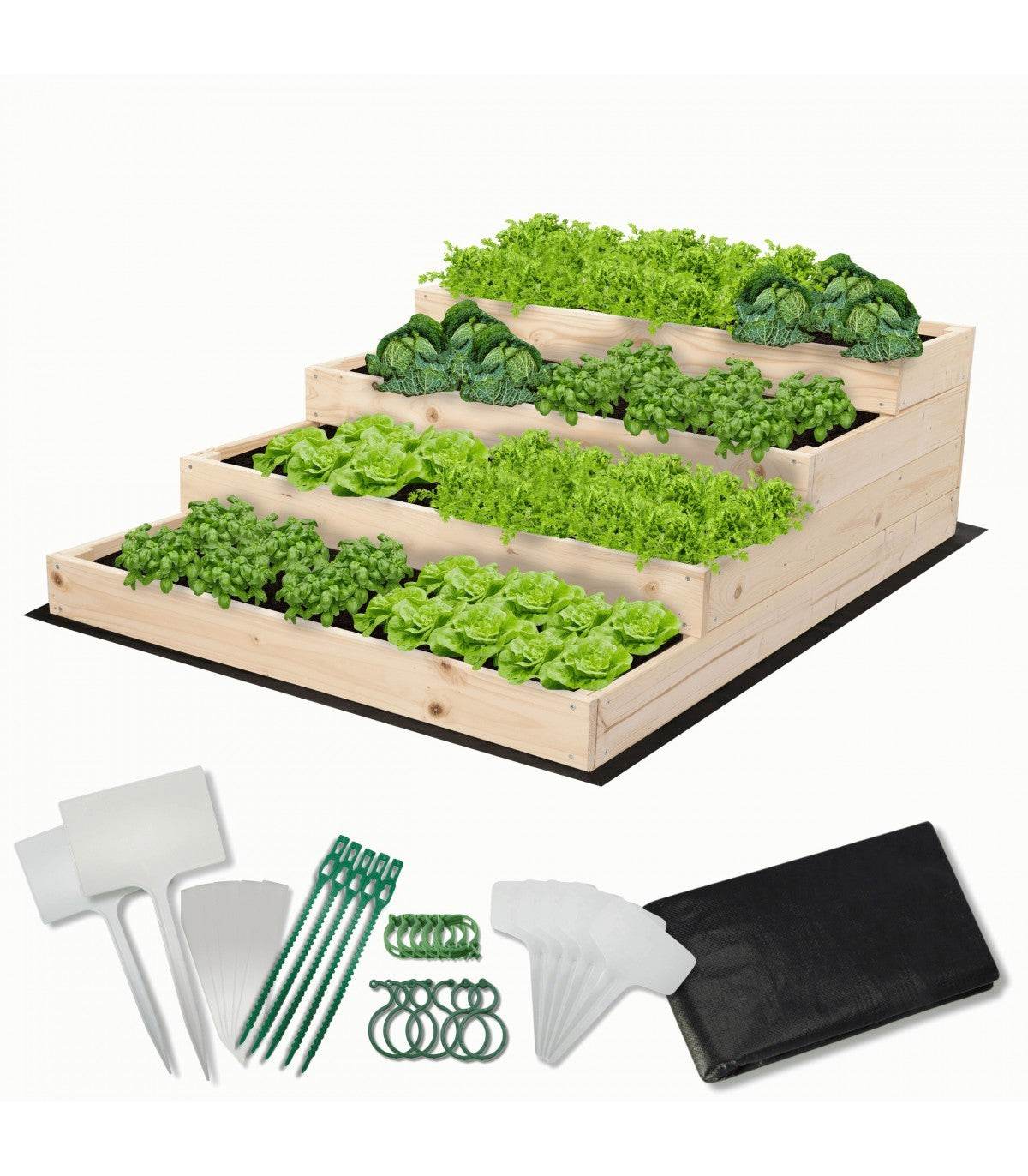 Strat inaltat de gradina - DAHLIA H36 - lemn de pin - Rael Garden