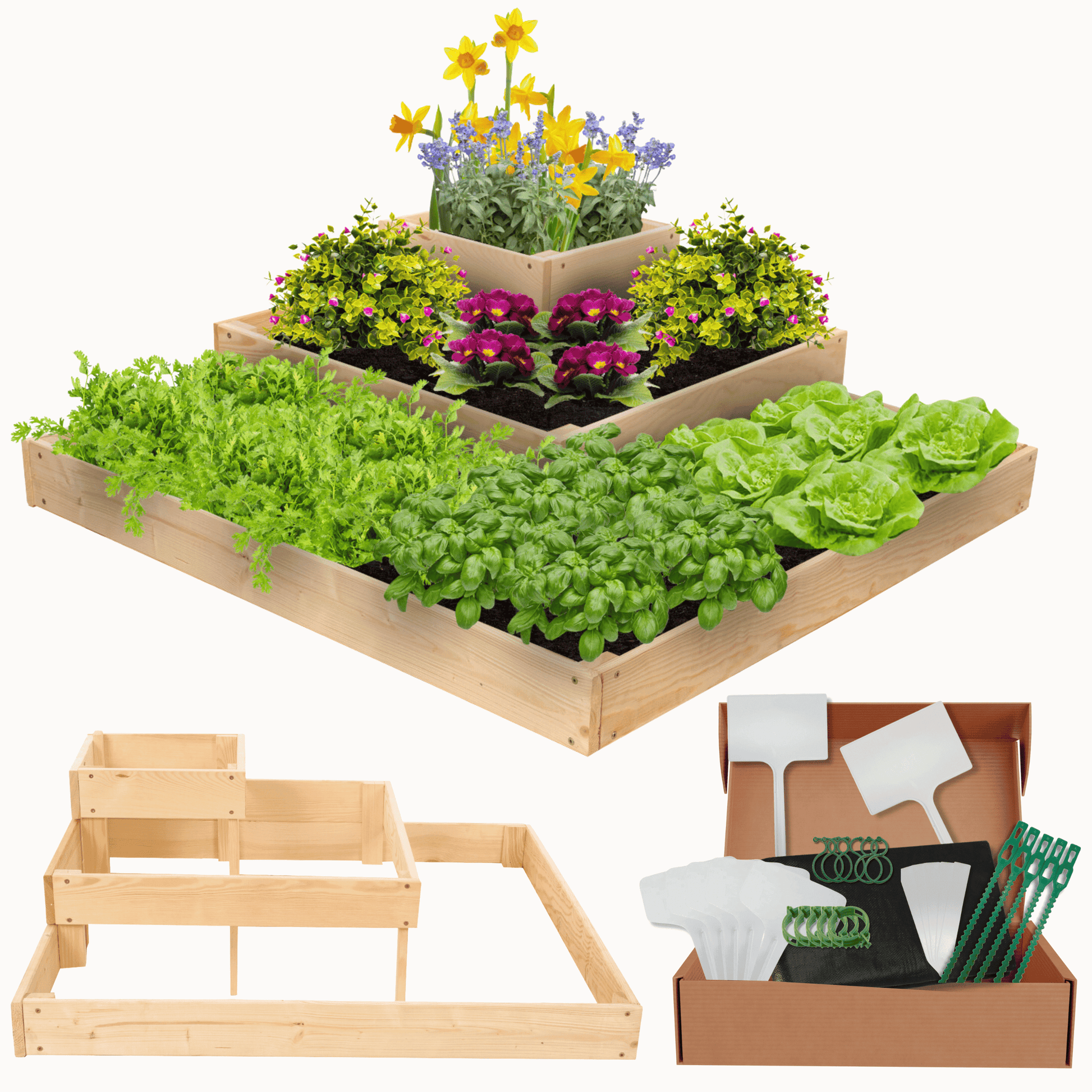 Strat inaltat de gradina - PETAL H27 - lemn de pin - Rael Garden