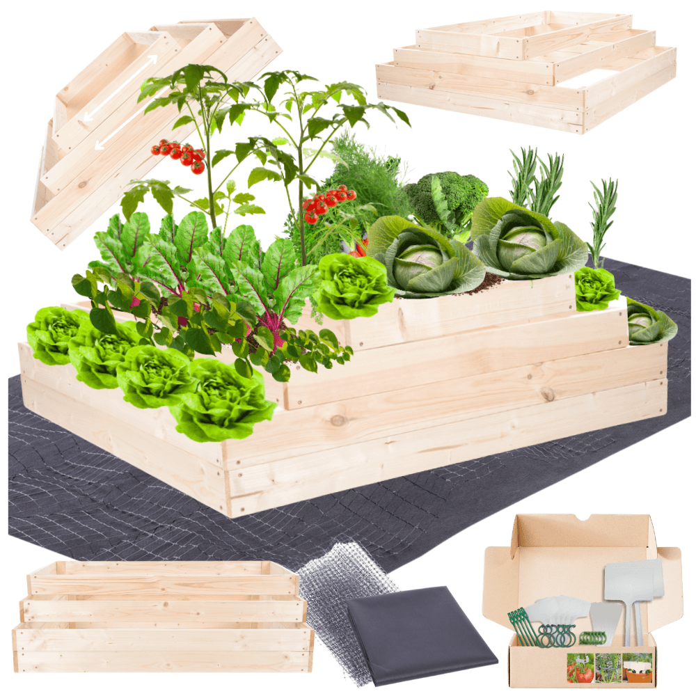 Strat inaltat de gradina - TULIP H36 - lemn de pin - Rael Garden