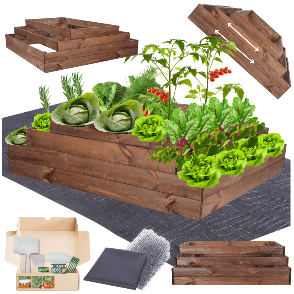 Strat inaltat de gradina - TULIP H36 - lemn de pin - Rael Garden