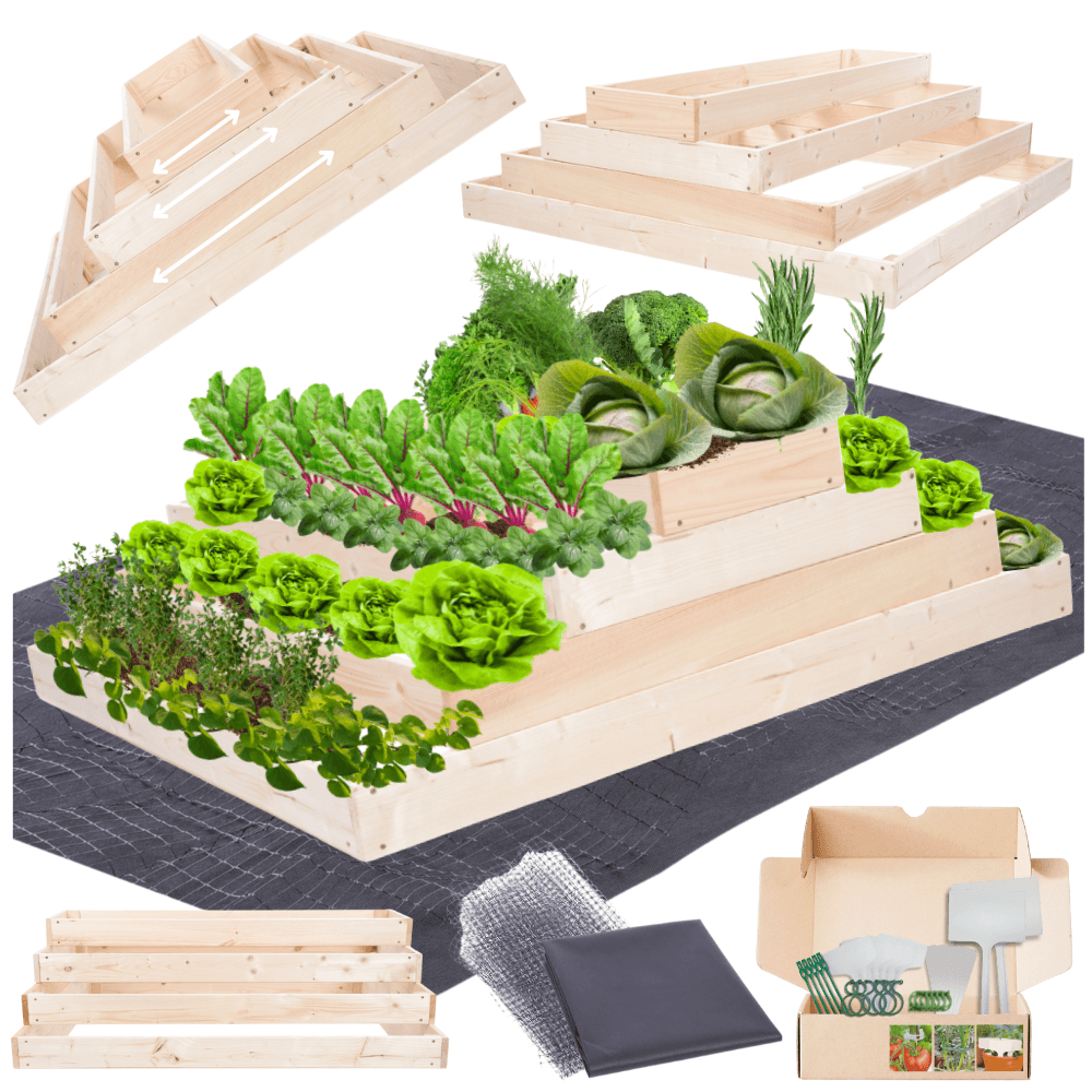 Strat inaltat de gradina - TULIP H36 - lemn de pin - Rael Garden
