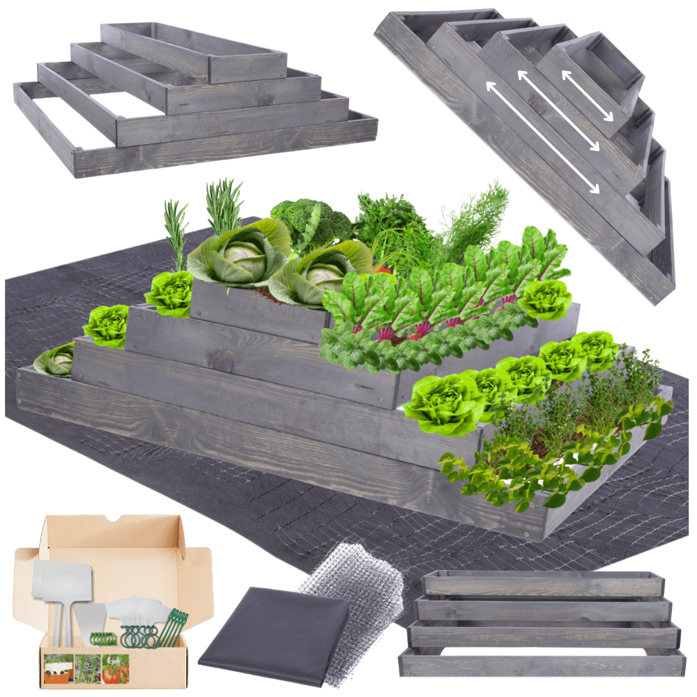 Strat inaltat de gradina - TULIP H36 - lemn de pin - Rael Garden