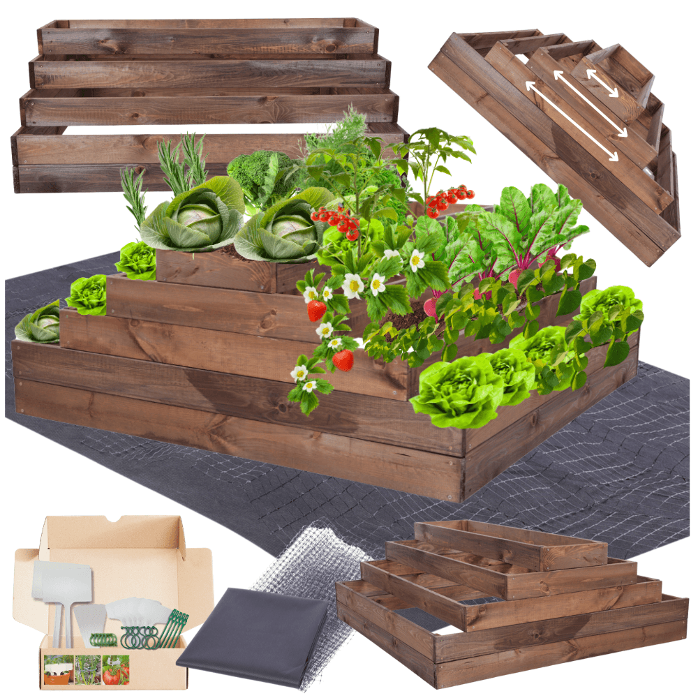 Strat inaltat de gradina - TULIP H45 - lemn de pin - Rael Garden