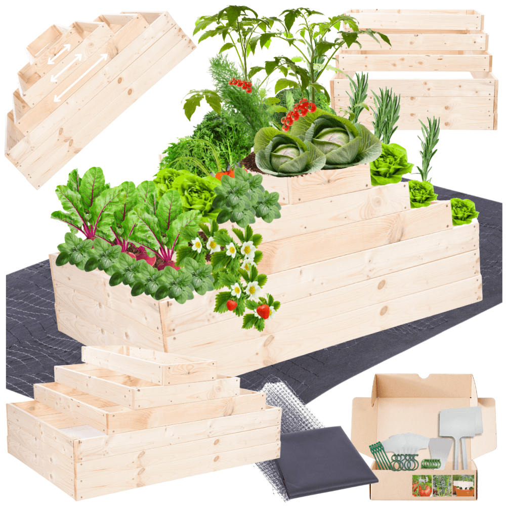 Strat inaltat de gradina - TULIP H54 - lemn de pin - Rael Garden