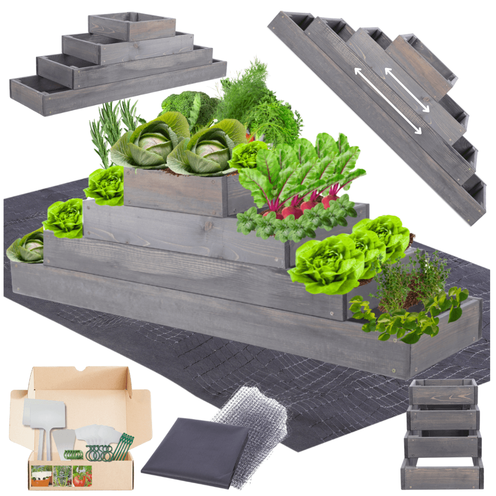 Strat inaltat de gradina - TULIP H36 - lemn de pin - Rael Garden