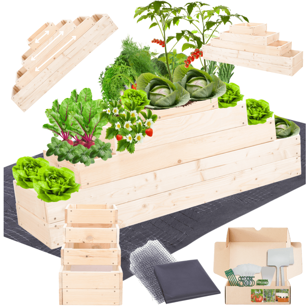 Strat inaltat de gradina - TULIP H45 - lemn de pin - Rael Garden
