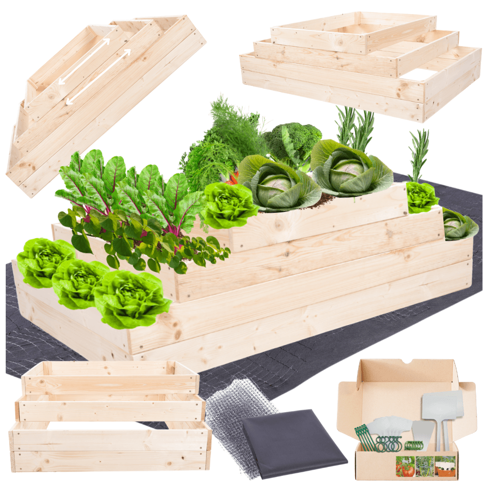 Strat inaltat de gradina - TULIP H36 - lemn de pin - Rael Garden