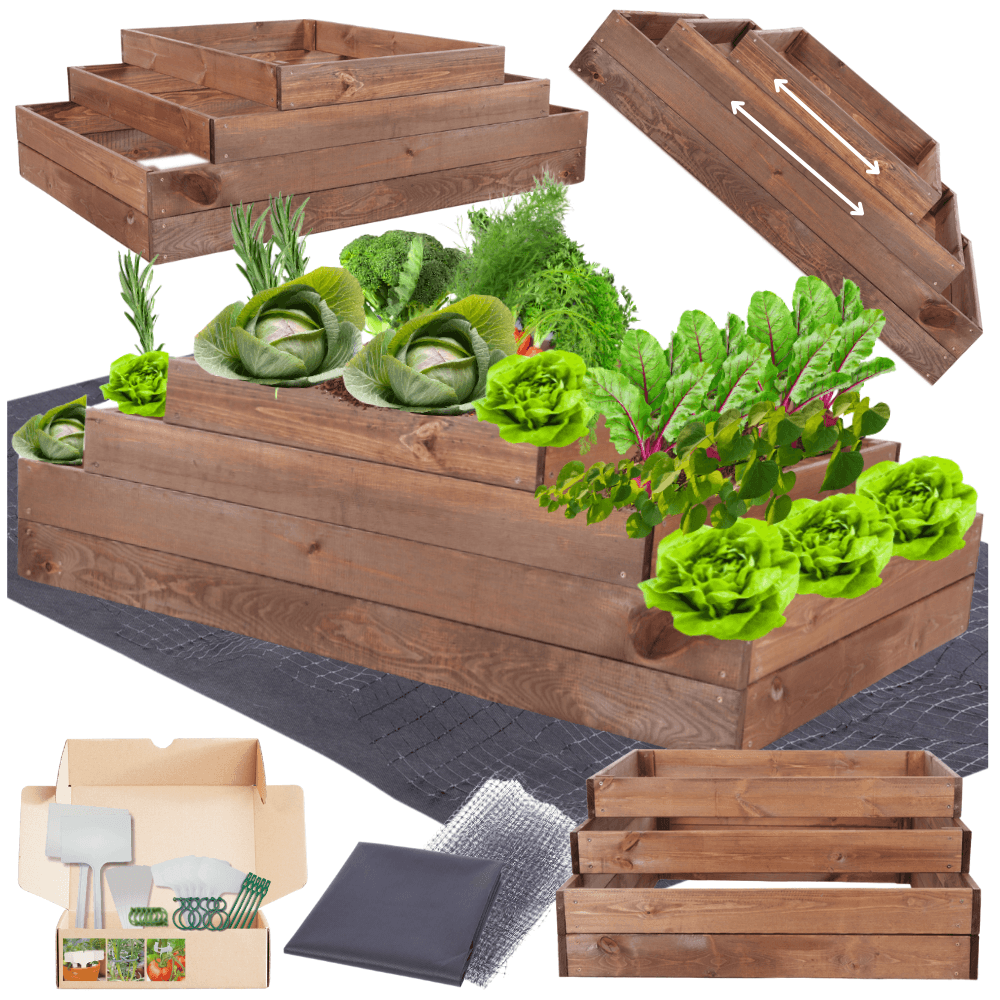 Strat inaltat de gradina - TULIP H36 - lemn de pin - Rael Garden