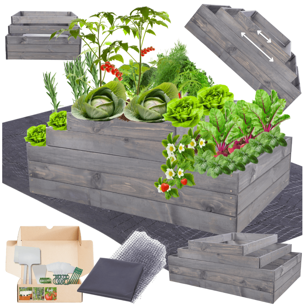 Strat inaltat de gradina - TULIP H45 - lemn de pin - Rael Garden