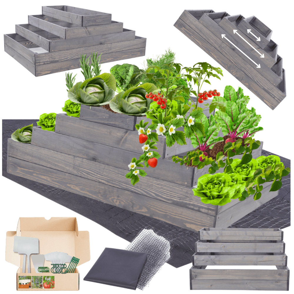 Strat inaltat de gradina - TULIP H45 - lemn de pin - Rael Garden