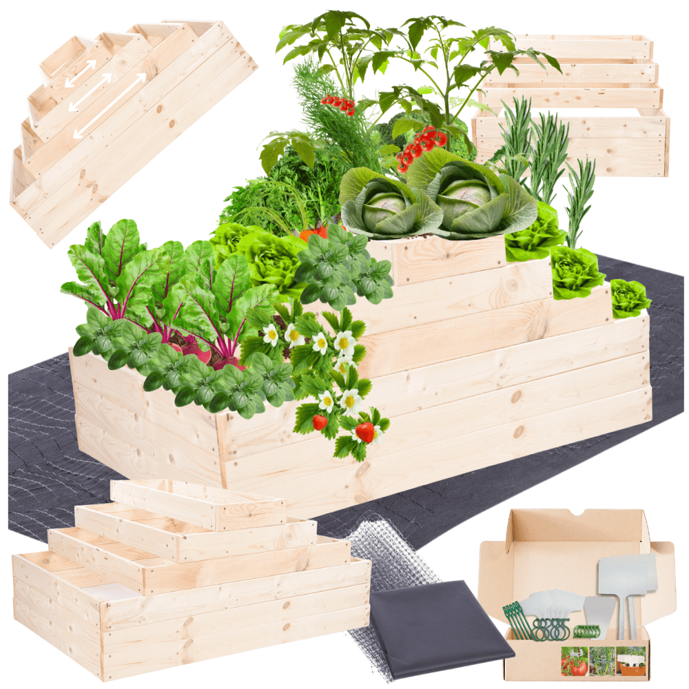 Strat inaltat de gradina - TULIP H54 - lemn de pin - Rael Garden