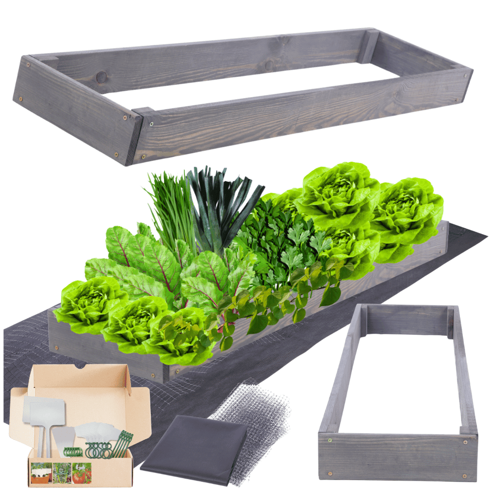 Strat inaltat de gradina - TULIP H9 - lemn de pin - Rael Garden