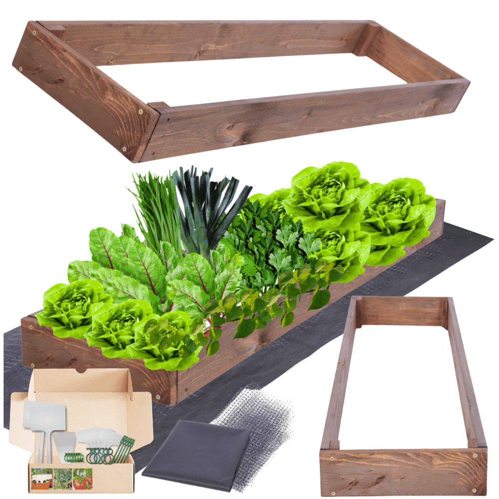 Strat inaltat de gradina - TULIP H9 - lemn de pin - Rael Garden