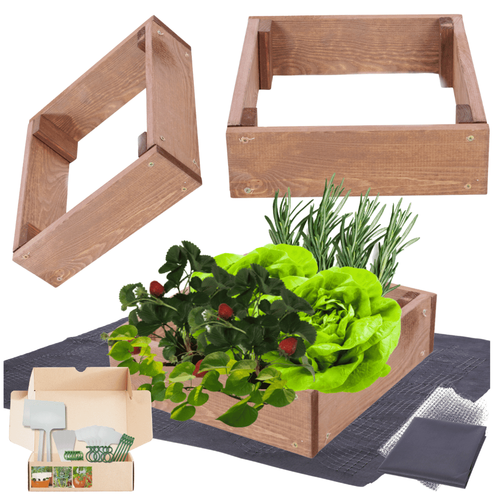Strat inaltat de gradina - TULIP H9 - lemn de pin - Rael Garden