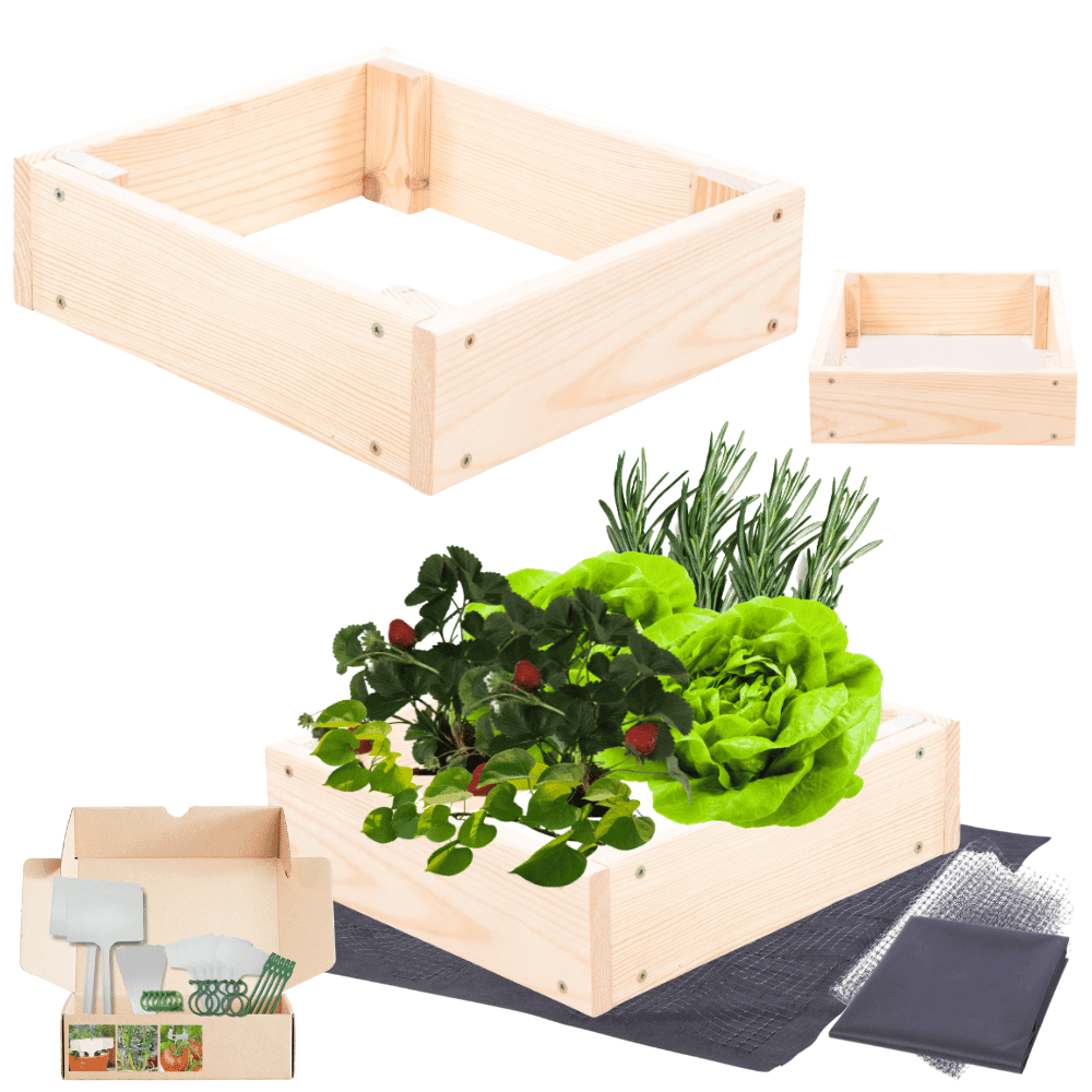 Strat inaltat de gradina - TULIP H9 - lemn de pin - Rael Garden