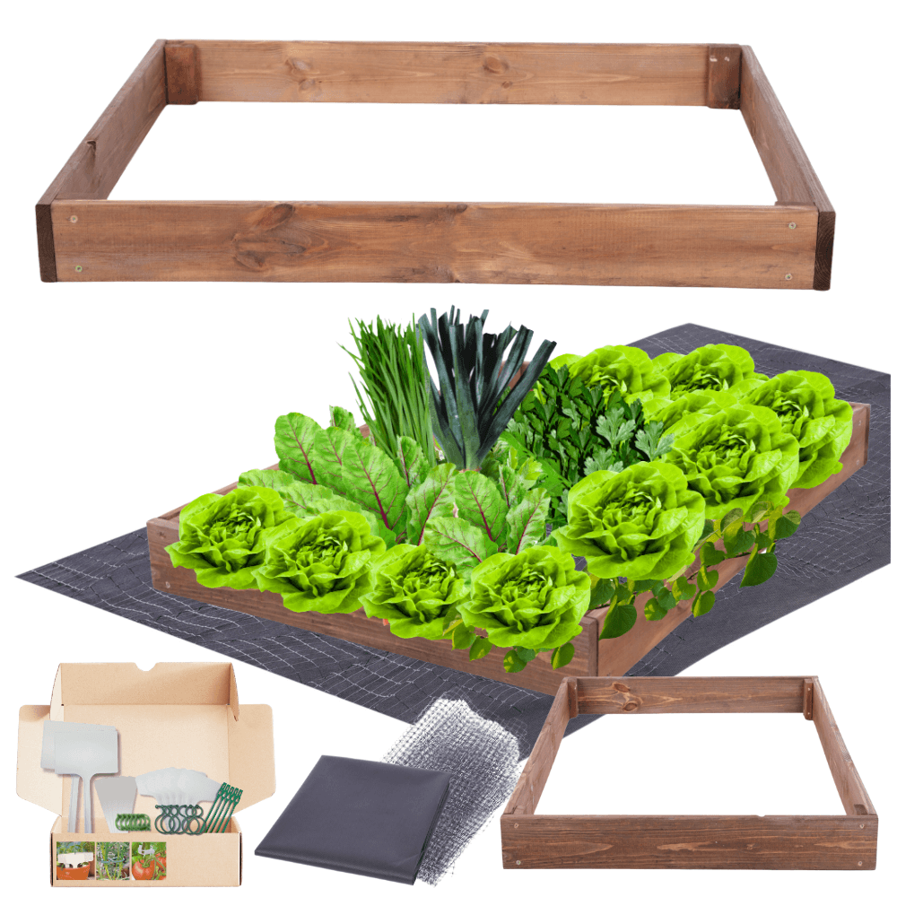 Strat inaltat de gradina - TULIP H9 - lemn de pin - Rael Garden