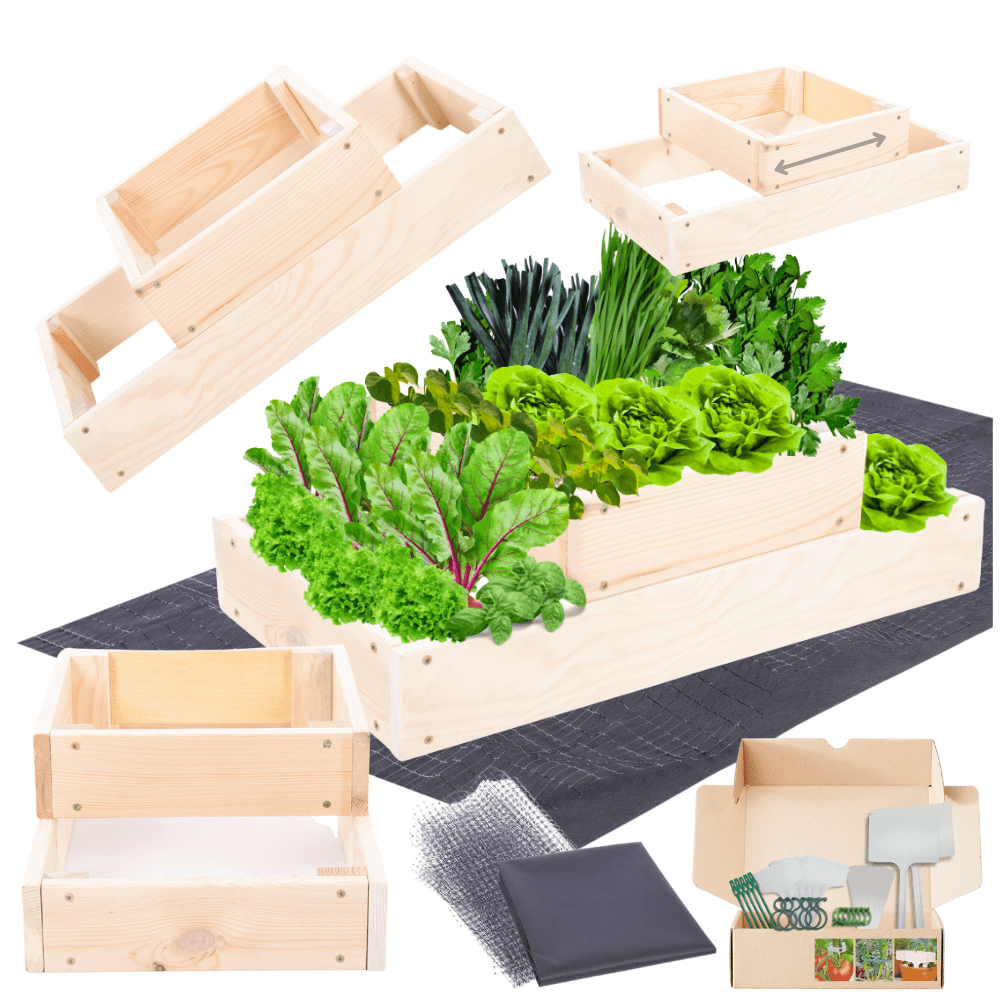 Strat inaltat de gradina - TULIP H18 - lemn de pin - Rael Garden