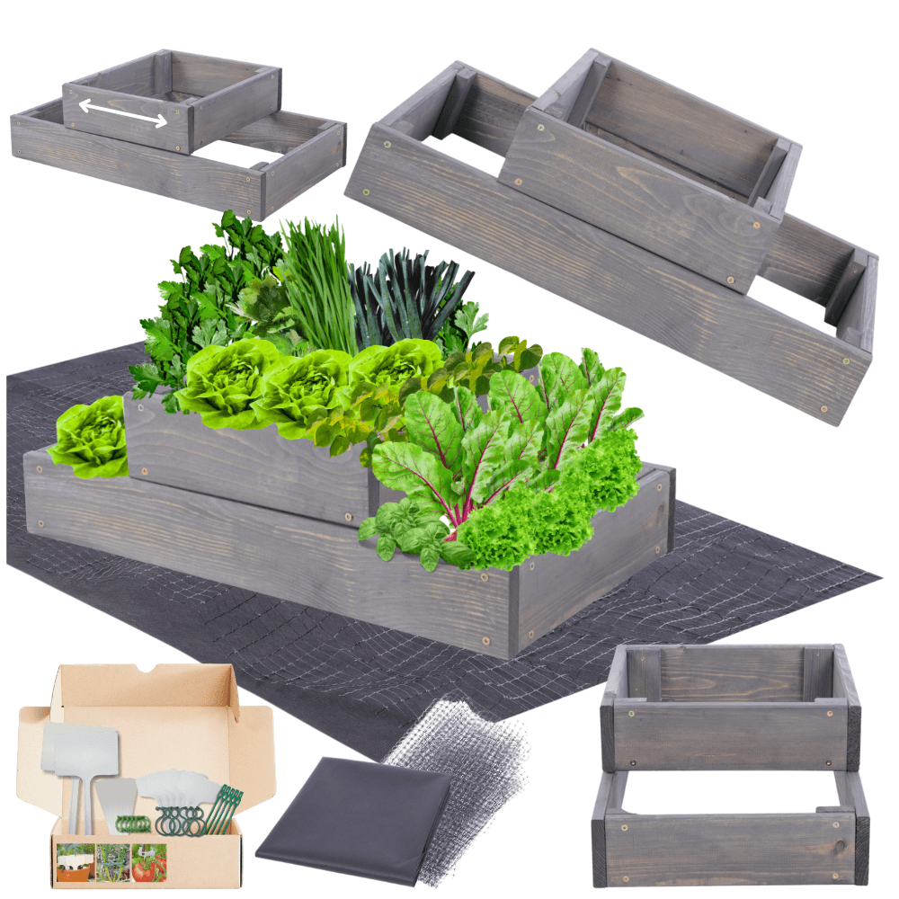 Strat inaltat de gradina - TULIP H18 - lemn de pin - Rael Garden