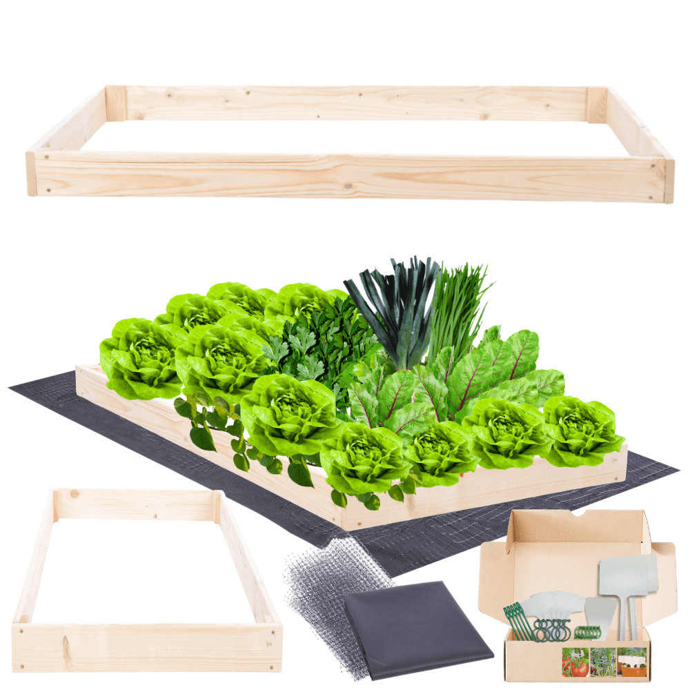 Strat inaltat de gradina - TULIP H9 - lemn de pin - Rael Garden