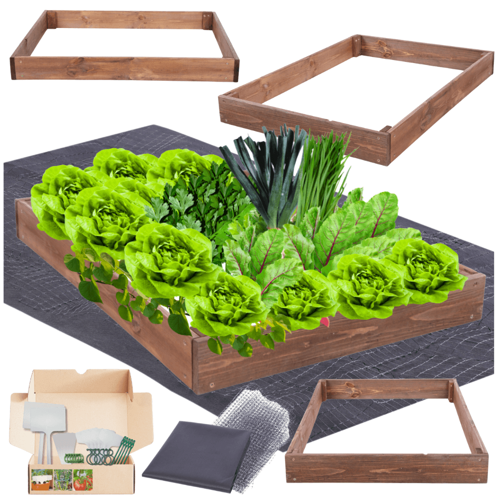 Strat inaltat de gradina - TULIP H9 - lemn de pin - Rael Garden