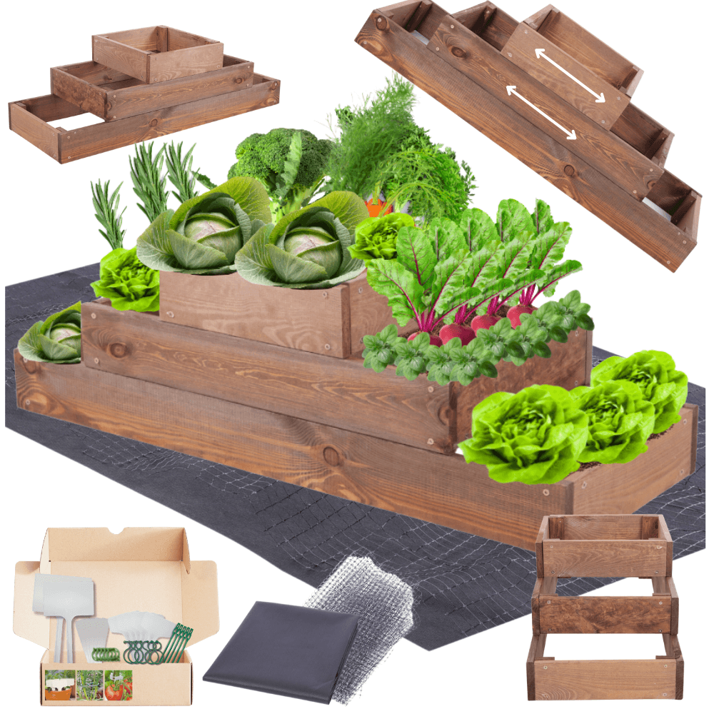 Strat inaltat de gradina - TULIP H27 - lemn de pin - Rael Garden