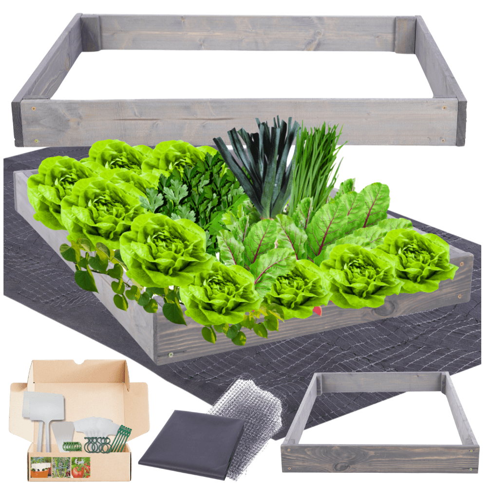 Strat inaltat de gradina - TULIP H9 - lemn de pin - Rael Garden