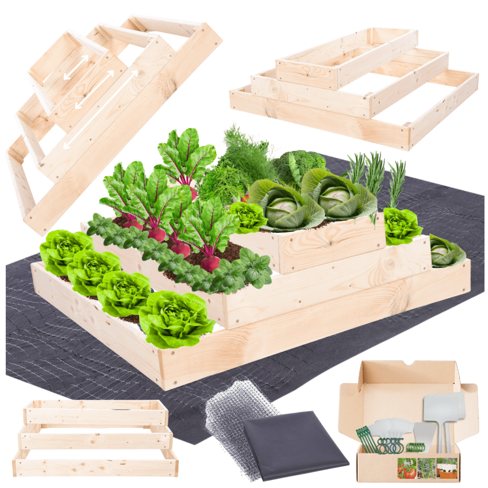Strat inaltat de gradina - TULIP H27 - lemn de pin - Rael Garden